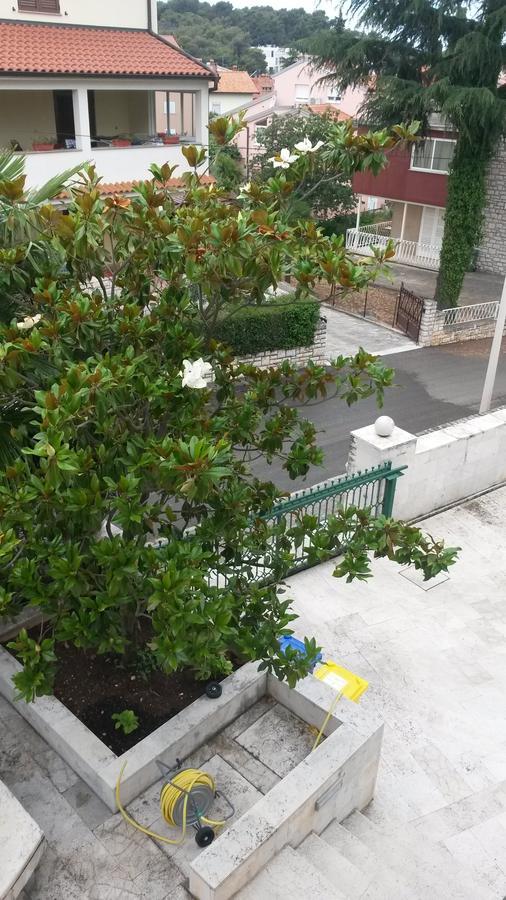 Apartments Soric Rovinj Dış mekan fotoğraf